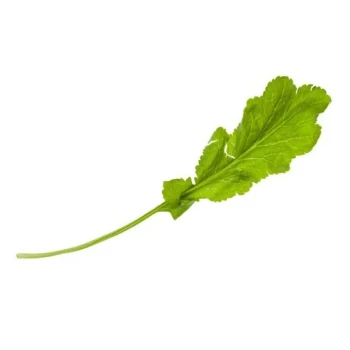 بذر شاهی برگ پهن 20 گرم