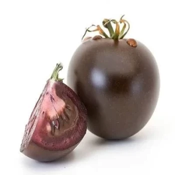 بذر گوجه فرنگی غول پیکر بنفش درختی 25 عددی