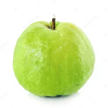 بذر گواوا سیبی زرد معطر داخل سفید 10 عددی 