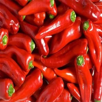 بذر فلفل پاپریکا قرمز 25 عددی