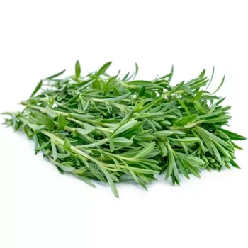 بذر مرزه برگ پهن 20 گرم