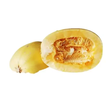 بذر کدو اسپاگتی 5 عددی 
