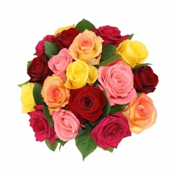 بذر گل رز میکس 5 عددی 