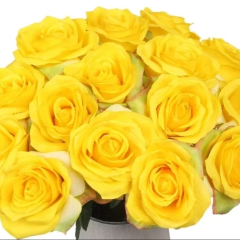 بذر گل رز زرد 5 عددی 