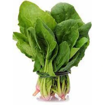 بذراسفناج شاهرودی 20 گرم