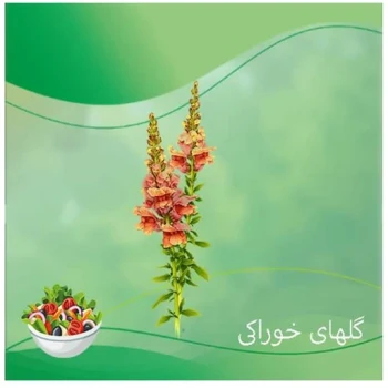 بذر گل میمون خوراکی 20 عددی 