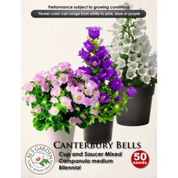بذر گل استکانی چند رنگ میکس (گلبرگ دوتایی) 50 عددی 