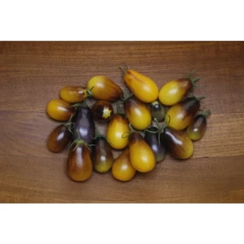 بذر گوجه گلابی زنبور عسل 10 عددی 