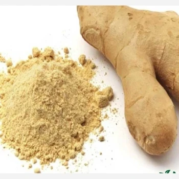 پودر زنجبیل