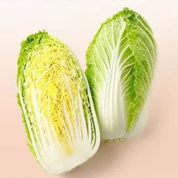 بذر کاهو ژاپنی 20 عددی