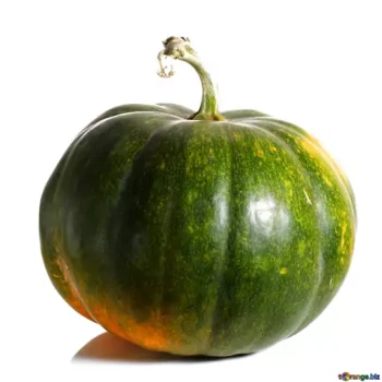 بذر کدو تنبل سبز 5 عددی 