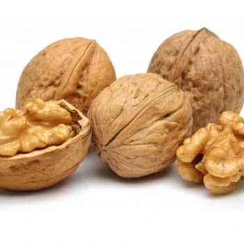 بذر گردو سوزنی 3 عددی