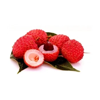 بذر درخت لیچی (سرخالو) 2 عددی