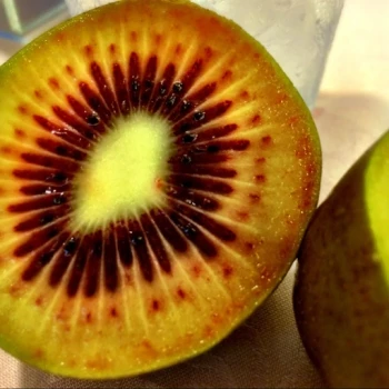 بذر کیوی تو سرخ 10 عددی 