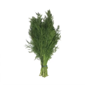 بذرشوید پا کوتاه 20 گرم 