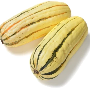 بذر کدو تنبل خوشمزه 5 عددی 