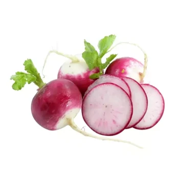 بذر تربچه دو رنگ 5 گرم