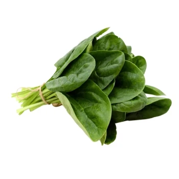 بذر اسفناج تیغ دار  20 گرم