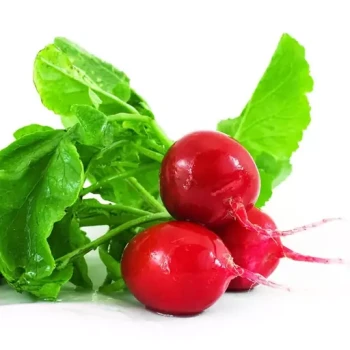 بذر تربچه آلبالویی 20 گرمی