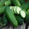بذر خیار جالیز اصفهان (غیر درختی) 20 عددی 