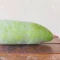 بذر کدو واکسی (خربزه زمستانی) 5 عددی 