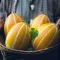 بذر خربزه کره ای  5 عددی