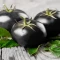 بذر گوجه چری مشکی ارگانیک 10 عددی
