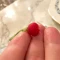 بذر تربچه سرخاب 20 گرم