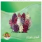 بذر گل شب بو خوراکی 20 عددی 