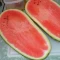 بذر هندوانه چارلستون گری 20 عددی
