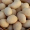 بادام زمینی روکش دار سرکه ای یک کیلویی