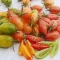 بذر گوجه زیتونی ببری میکس 25 عددی