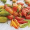 بذر گوجه زیتونی ببری قرمز درختی 25 عددی