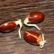 بذر درخت لیچی (سرخالو) 2 عددی