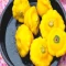 بذر کدو ستاره ای میکس 10 عددی