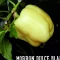 بذر فلفل دلمه ای سفید 5عددی
