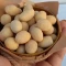 بادام زمینی روکش دار سرکه ای یک کیلویی
