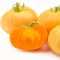 بذر گوجه فرنگی غول پیکر زرد بلژیکی 25 عددی