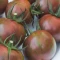 بذر گوجه فرنگی زنبور عسل 10 عددی 