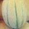 بذر طالبی ریش بابا (جانا) 20 عددی