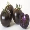 بذر گوجه فرنگی غول پیکر بنفش درختی 25 عددی