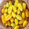 بذر گوجه فرنگی موزی 25 عددی