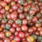 بذر گوجه فرنگی حنایی بوته ای 15 عددی