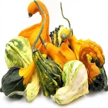 بذر کدو گرملینز 10 عددی