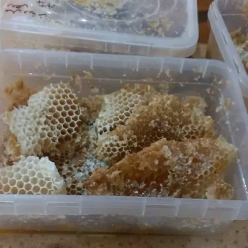 عسل کوهستانی بکر مومدار شان(یک کیلوگرم)