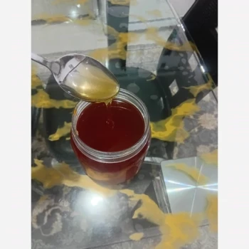 عسل اعلای گون کردستان