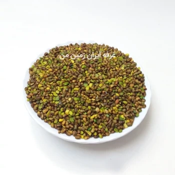 مغز پسته کوهی کردستان (مغز بنه، مغز پسته وحشی)(۵۰۰ گرمی)