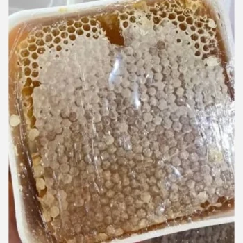 عسل مومدار بکر طبیعت کردستان