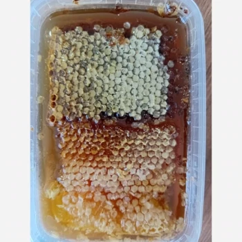 عسل گون 2 کیلویی 