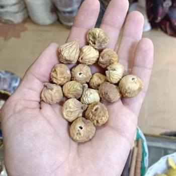 انجیر  خشک نرم و تازه محلی
